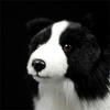 Border Collie Hohe Treue Anime Niedlicher Plüschtier Schäferhund Plüschtiere Lebensechte Tiere Simulation Stofftier Kawaii Spielzeug Geschenke