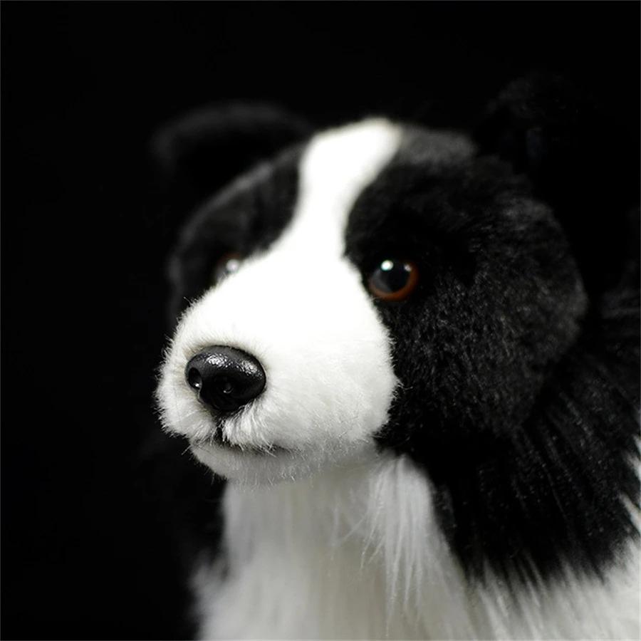 Border Collie Hohe Treue Anime Niedlicher Plüschtier Schäferhund Plüschtiere Lebensechte Tiere Simulation Stofftier Kawaii Spielzeug Geschenke