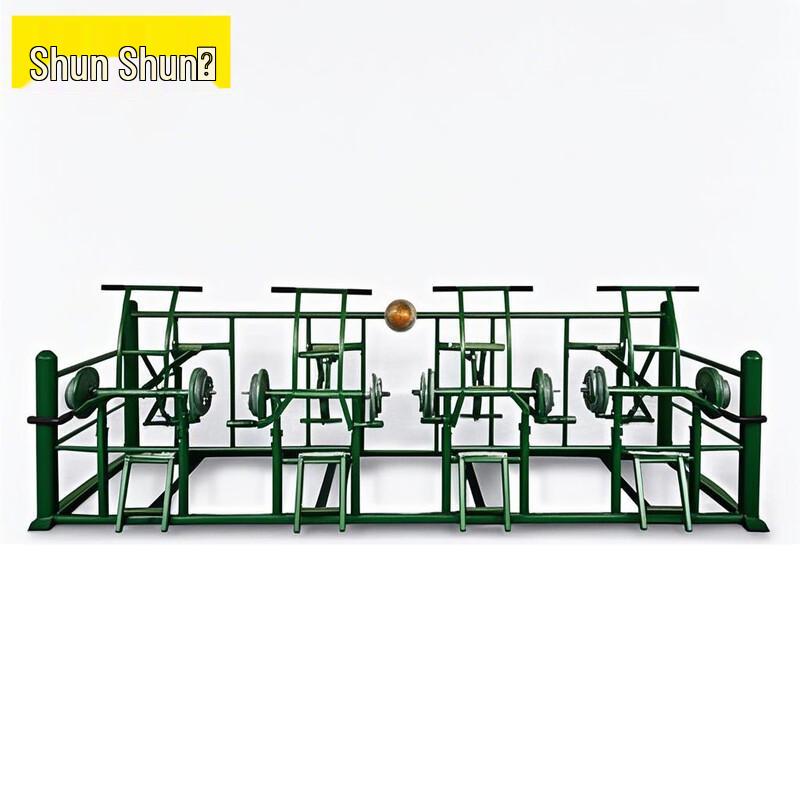 Outdoor Multi-functional Strength Training System