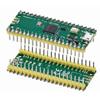 Green 264KB ARM Microcomputers 3 Styles RP2040 Raspberry Pi Pico W Board