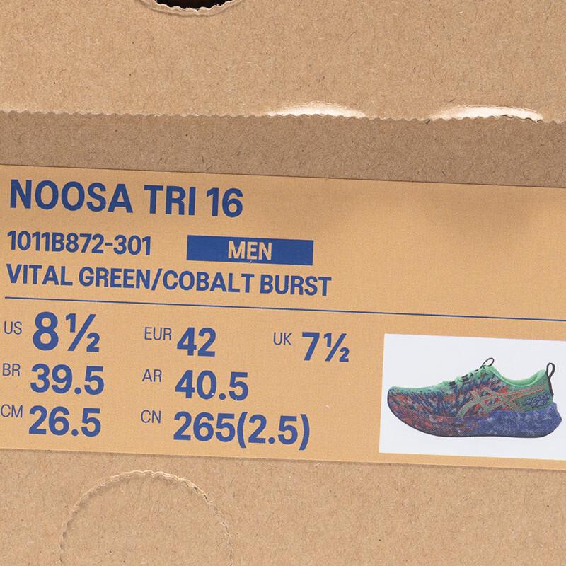 Asics Men's NOOSA TRI 16 Running Shoes