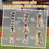 Dog Agility Equipment Set of Six Cones, Six Poles with Carry Bag, Three-Piece Adjustable Height Jumping Obstacles Orange