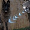 Ultrasonic Anti Barking Device Portable Dog Bark Suppressor Handheld Repeller Trainer with LED Light Battery Powered for Outdoor