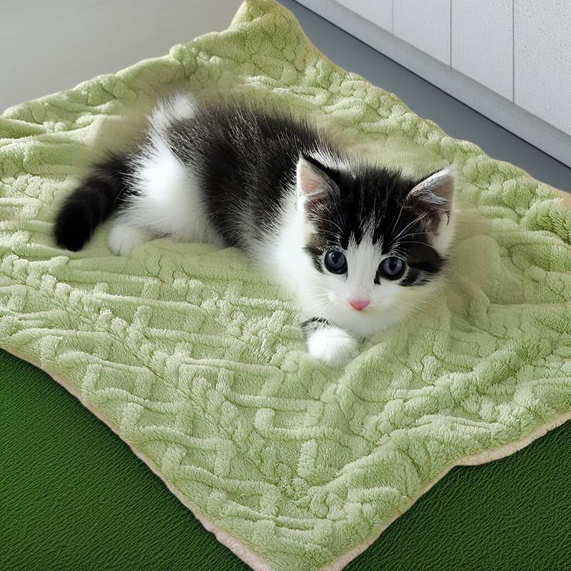 Brangdy Pet Sleeping Mat & Blanket Set