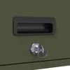 Wall Mounted Garage Cabinet with Gas Pressure Lift Door Olive Green