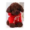 Little Dog Plush Toys, Dog Dolls, Teddy Dog Dolls, Cute Little Animal Dolls on The Bed