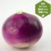 Sztuczne Dekoracje Kolorowe Bąbelki Symulacja Warzyw Kapusta Rzodkiewka Pomidor Szczypiorek Chilli Model Fotografia 5 szt./partia