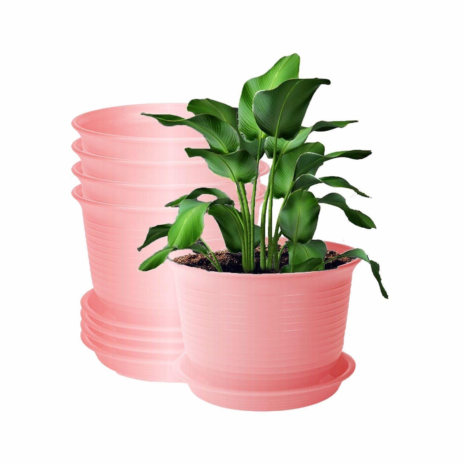 

Plastic Round Flower Pots with Tray for Home Planters, Terrace, Garden Etc | Pack of 05 | Pink | Size 8 Inch | for Home Indoor & Outdoor 8 INCH EACH розовый