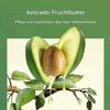 Avocado Hair Mask, 300g Hair Treatment Mask, Avocado Repair Nourishing Care Hair Mask For Dry Damaged Hair, Moisturizing Hair Mask, Prevent Split Ends