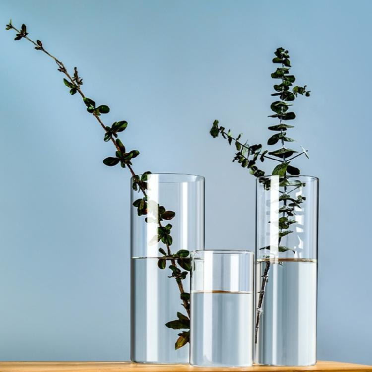 Vase en verre transparent Cylindres en verre Vase adapté à divers arrangements