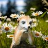 Meerkat Garden Animal Statue Garden Ornament for Home Office Balcony Porch