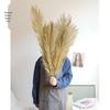 High-End Wabi-Sabi Dried Flower Decor: Natural Reeds & Wheat for Living Room or Homestay.