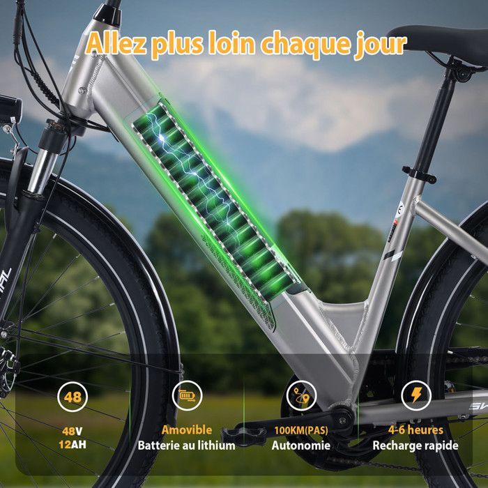 SPATIAL Vélo électrique 29" Argent-Moteur 600W- Batterie 48V12Ah- Shimano 7 Vitesses - VTT Ville E-Bike - Autonomie 100 km