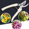 Stainless Steel Pruning Fruit Tree Grafting Tool Garden Shears Pruners Bonsai