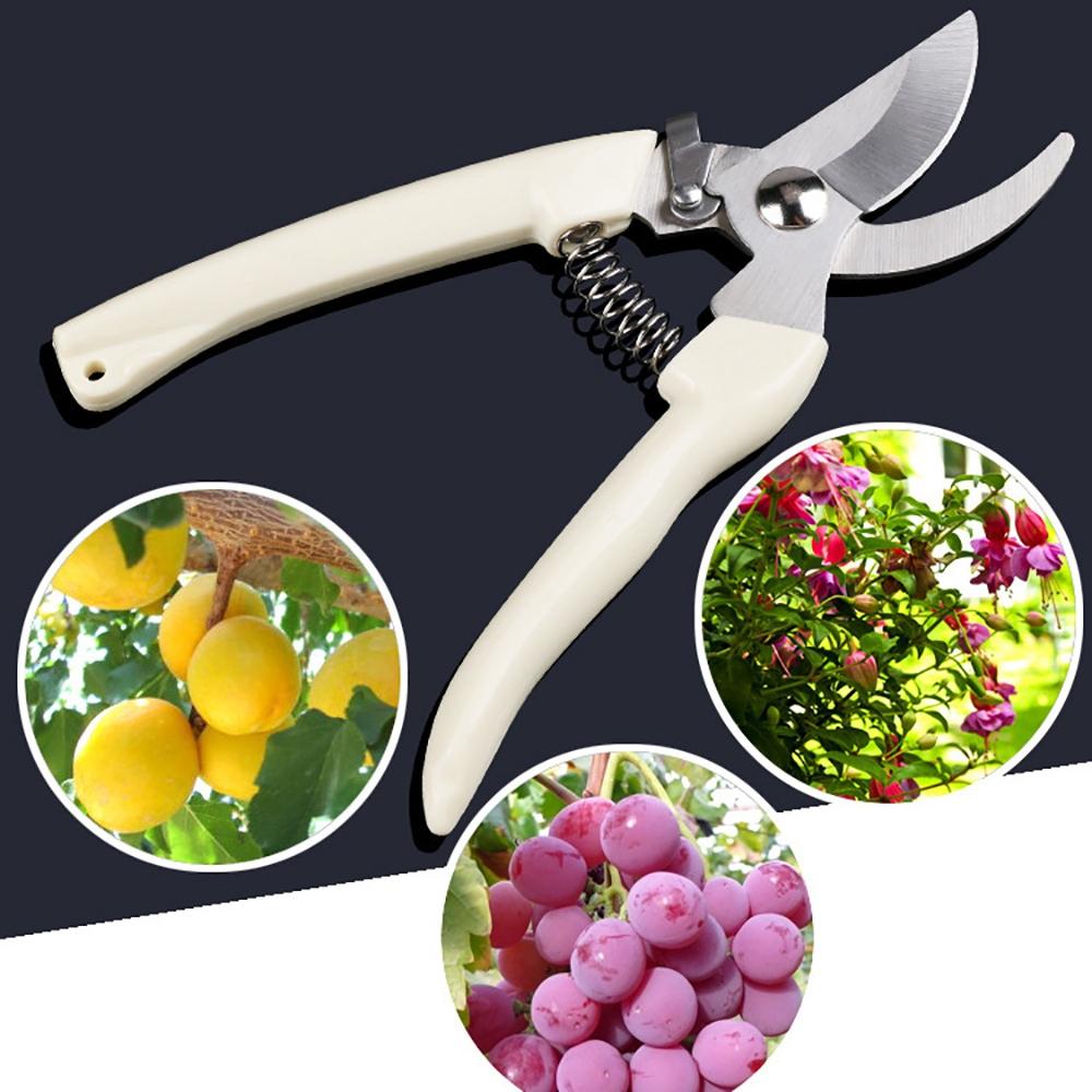 Stainless Steel Pruning Fruit Tree Grafting Tool Garden Shears Pruners Bonsai