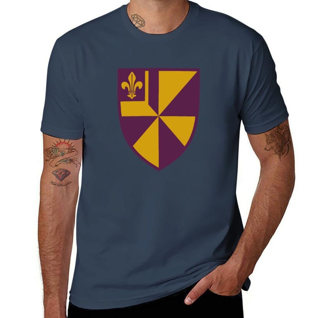 Albion College Tshirt Plus Size Nonshrink Tshirt