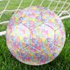 Care Bears Print Size 5 Soccer Ball, Standard Match Football for Sports Game and Team Practice, Ideal Gift for Soccer Fans