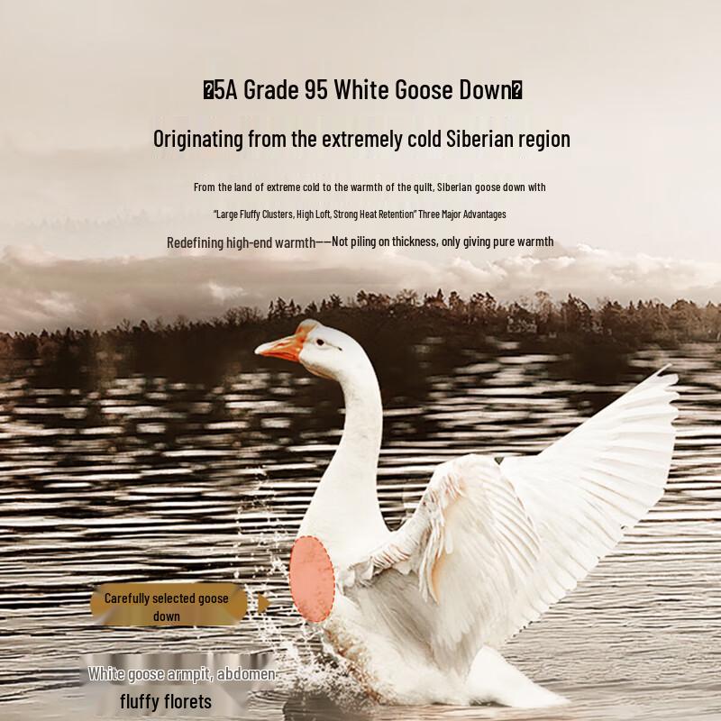 95% White Goose Down Winter Duvet