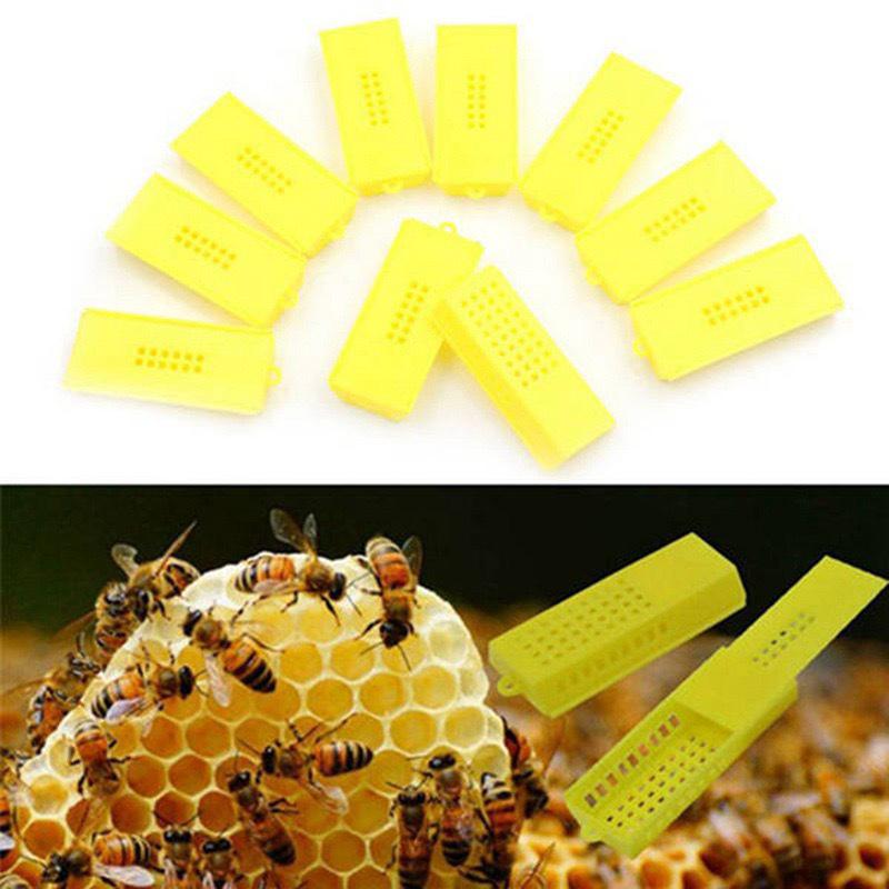 Yellow Beekeeping Queen Transport and Isolation Cage