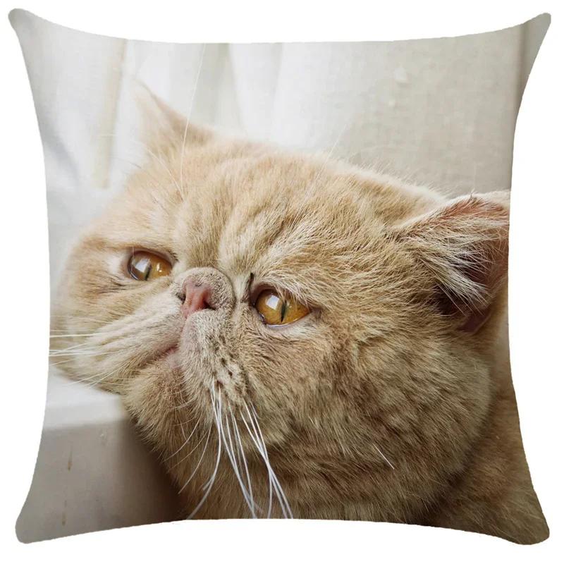 Lovely Pet Cat Pillow Cases Sleeping Bubble Black Cats Animal Cushion Cover Sofa Living Room Home Decorative Custom Pillowslip