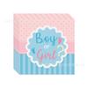 Junge Mädchen Gender Reveal Einweg-Geschirr Babyparty Party Teller Deko