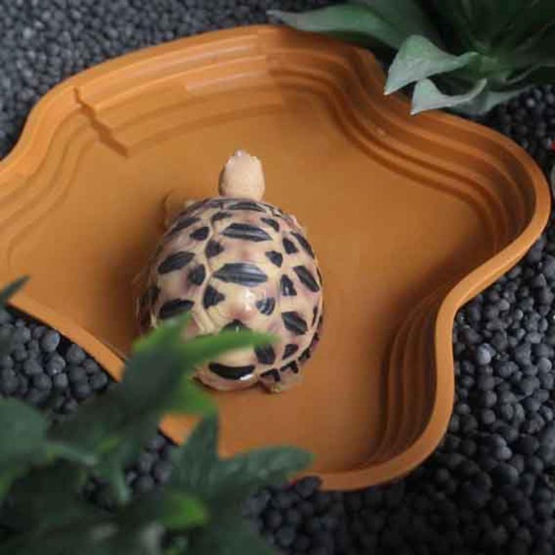 Turtle Frog Bathing Basin With Anti-Slip Ramp Can Also Be Used As Food Bowl And Water Basin For Reptiles And Amphibians