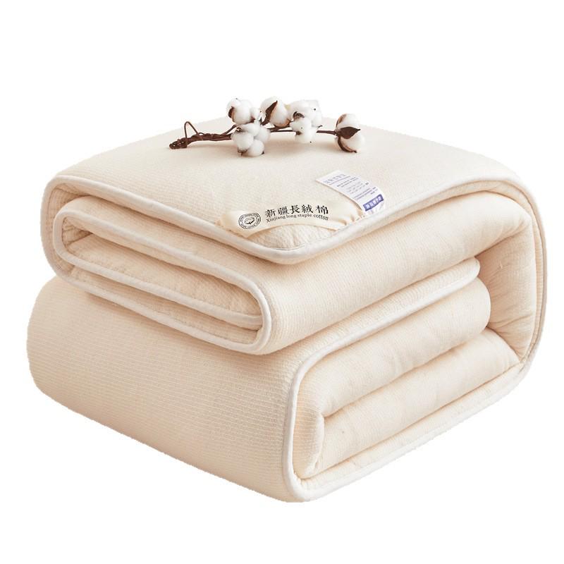 Xinjiang Cotton Wool Thick Quilt - Dormitory & Rental Room Duvet Insert for All Seasons