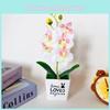Love Pot Phalaenopsis Potted Green Plant Decorations For Home Decor Ideas Gift