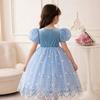 Girls Elsa Princess Frozen Dress Christmas Holiday Party Puffy Bubble Sleeve Tutu Costume for Kids