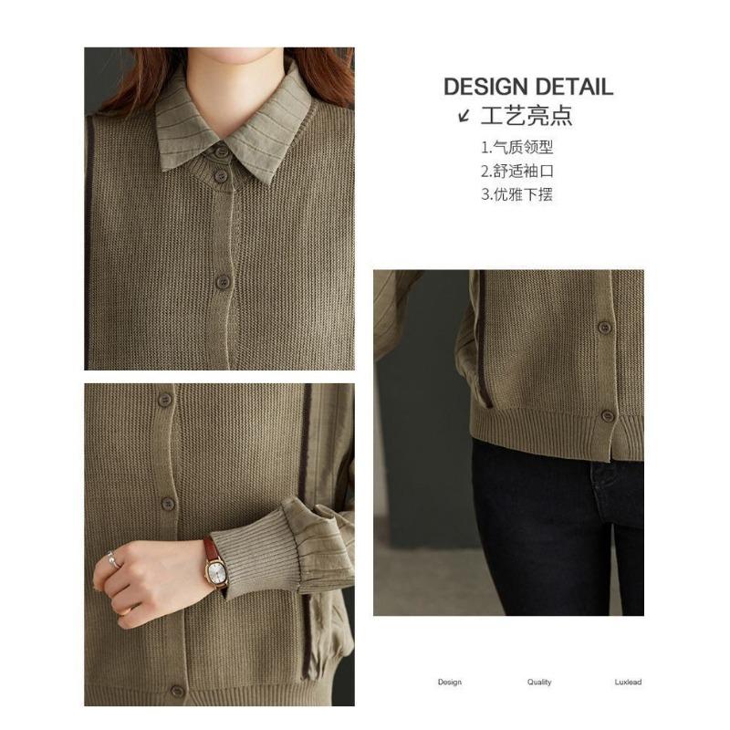 Women's Pullover Button Long Sleeve Lapel Spring and Autumn Bottoming Shirt Women's Elegant Top