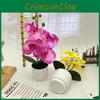 Artificial Potted Phalaenopsis Plant Silk Fabric Material Props Photography