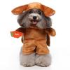Funny Pet Dog Costume Cape Hat Small Medium Dogs Christmas Halloween Outfit
