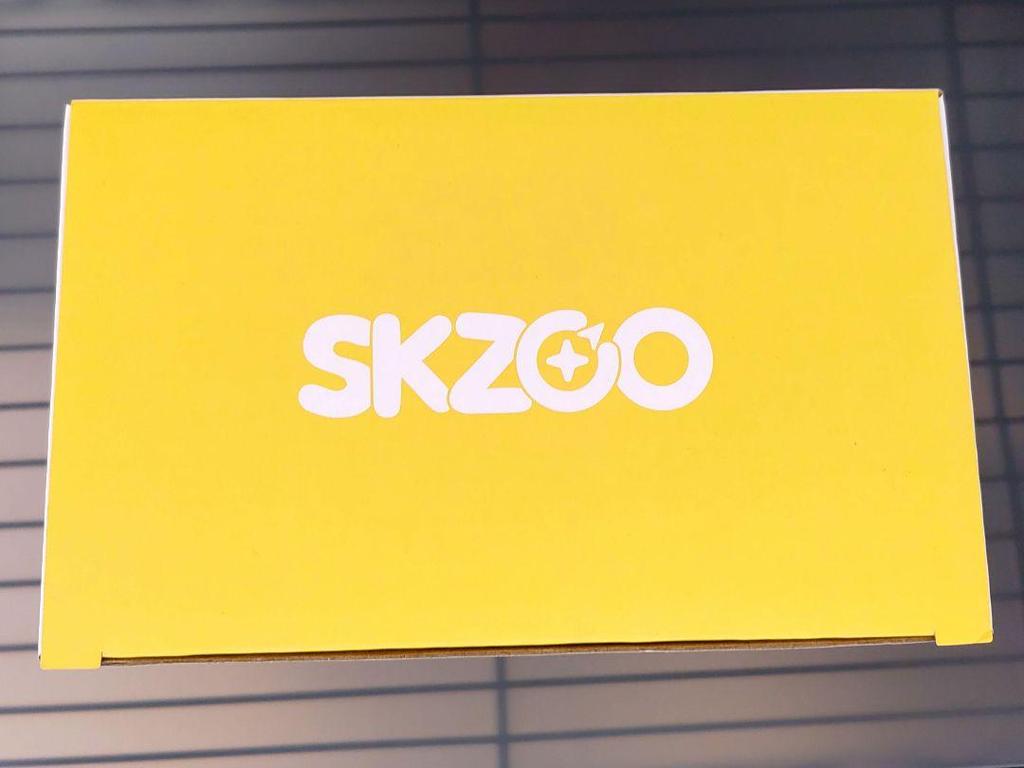 [USED] StrayKids Seoul Concert dominATE Mood Lamp Pogari