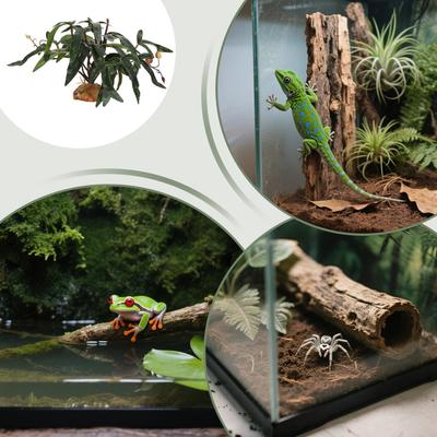 Peces y mascotas acuáticas – Decoración de peceras