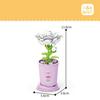 Hot Creative Small Building Block Flower Art Classic Brick Mini Potted Plant Gift For Girls Desk Decoration Simple Assembly Toys