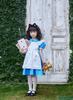 Clearstone Cosplay Halloween Forest Alice Girl Kids 140cm Girl Blue