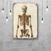 skeleton Vintage Tin Sign Home Decor Wall Decor Art Wall Mural Room Decoration Decor Retro Metal Sign Plate Bar Posters