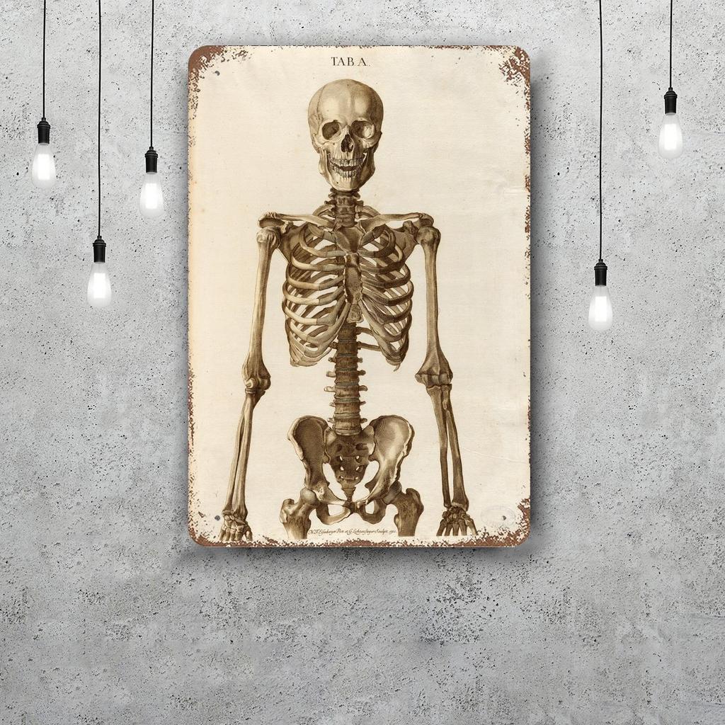 skeleton Vintage Tin Sign Home Decor Wall Decor Art Wall Mural Room Decoration Decor Retro Metal Sign Plate Bar Posters