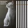 6Pcs/set White Charcoal Pencils Drawing Set Professional White Sketch Pencils para Desenho Sketching Chalk Pencils para Iniciantes