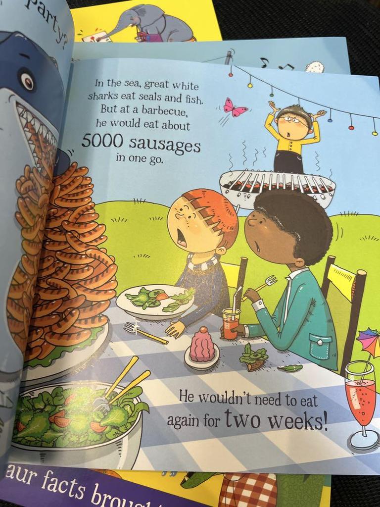 [USED] English Picture Books: Could a Series 10 books