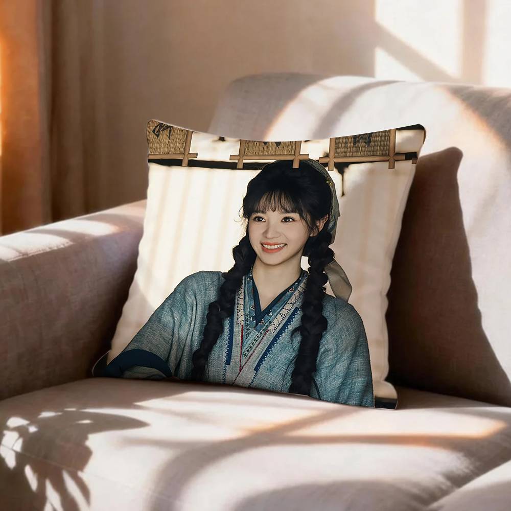COOL TThe TV series PPursuit of Jade Pillow Case Pattern Printed Pillowcase For Living Room Sofa Cushion Cover