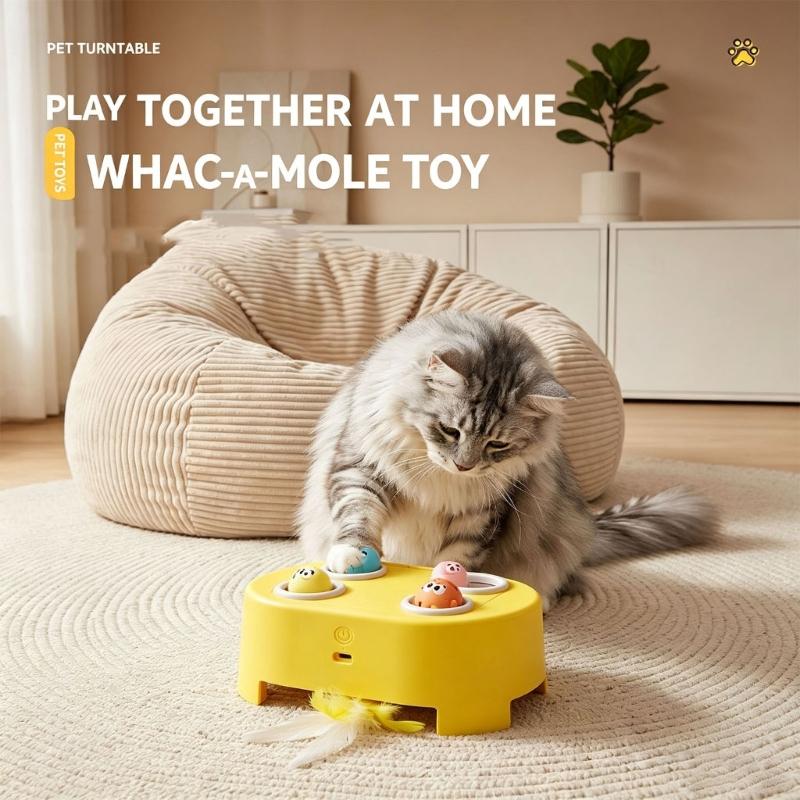 Rechargeable Activity Device with Moving Mouse Objects, Automatic Pause Cycles, Three Options, and Five Openings