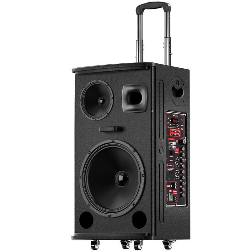 HuiDu NB-800L Professional Outdoor PA Trolley Speaker