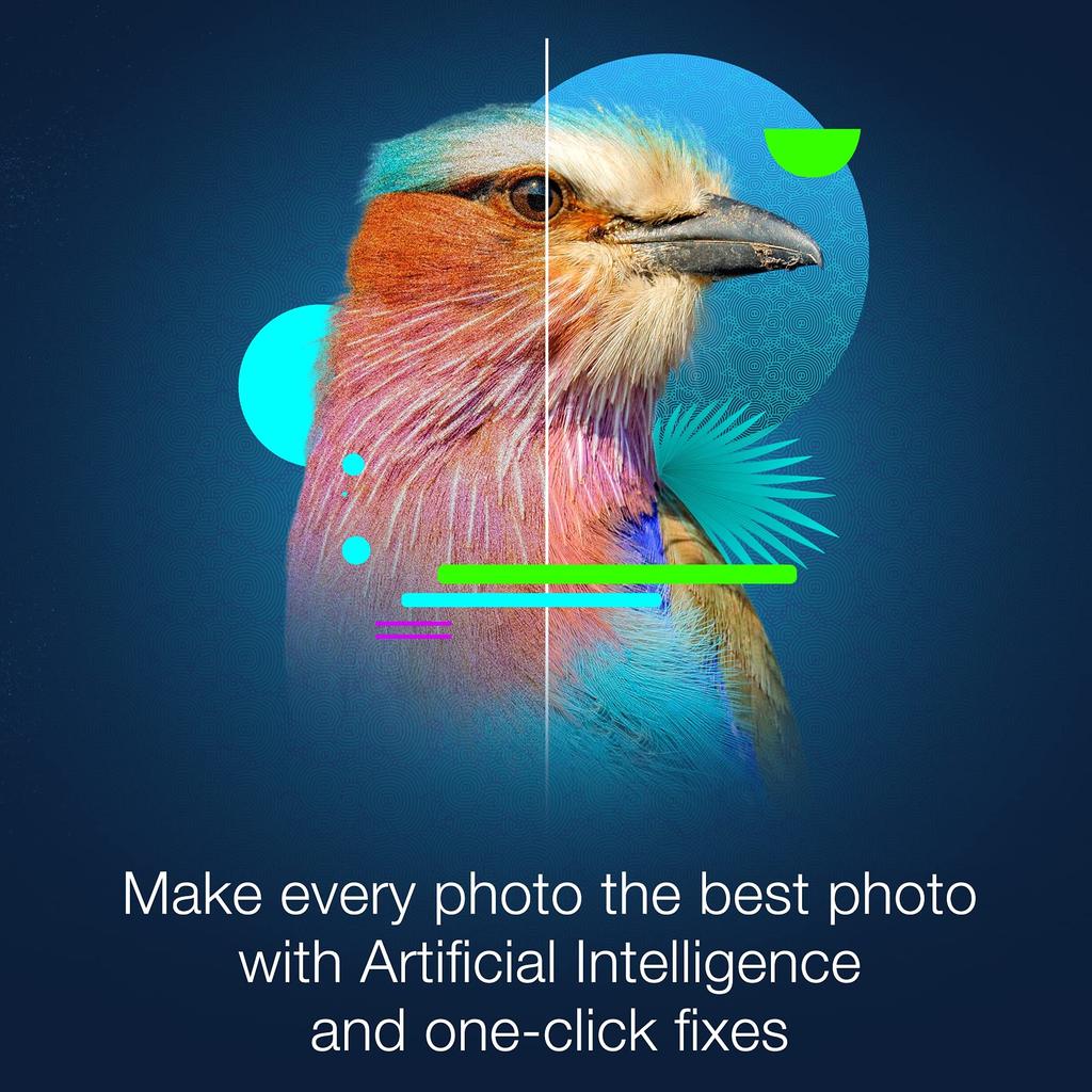 Corel Corel PaintShop Pro 2022 Ultimate Viene separatamente con manuale giapponese [Articolo]