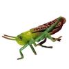 2Pcs Cartoon Locust Statue Vivid Animal Toys Funny Locust Animal Model  Garden