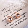 Gifts Fashion Jewelry Big Round Ball Women Ear Buckle Dangle Earrings Drop Earrings Earrings