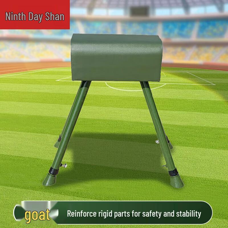 Gymnastics Training Vaulting Horse