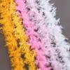Fire Piece Feather Strip Turkey Feather DIY Feather Clothing Window Wedding Decoration Accessories Feather Decoration
