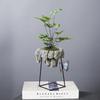 Personalized Retro Creative Suspended Wrought Iron Flower Pot Indoor Succulent June Xuewen Bamboo Potted Landscape