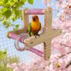 Wood Interactive Bird Toy DIY Bird Training Stand Sturdy Rotating Bird Perch Toy  Bird Play